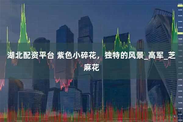 湖北配资平台 紫色小碎花，独特的风景_高军_芝麻花