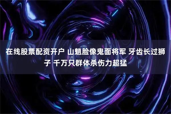 在线股票配资开户 山魈脸像鬼面将军 牙齿长过狮子 千万只群体杀伤力超猛